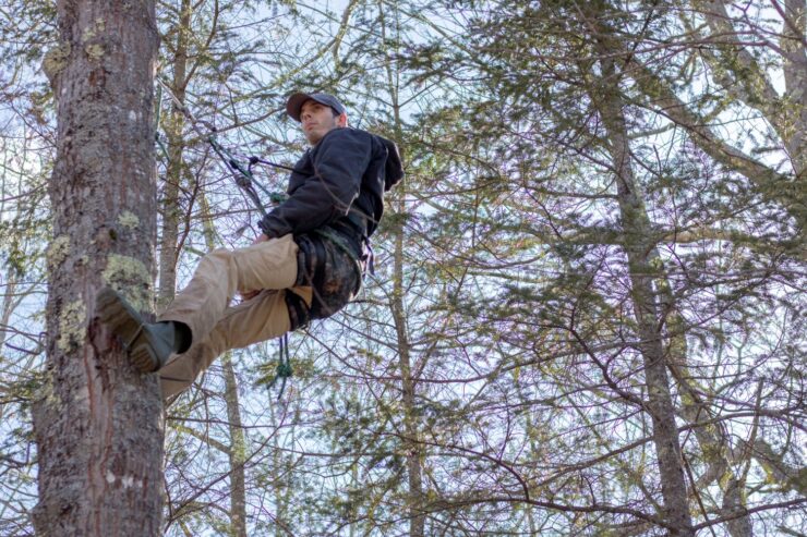 Hunting Tree Saddle