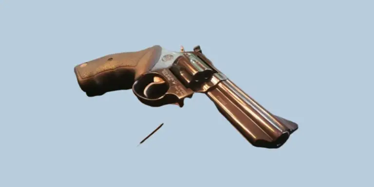 TAURUS 66 revolver