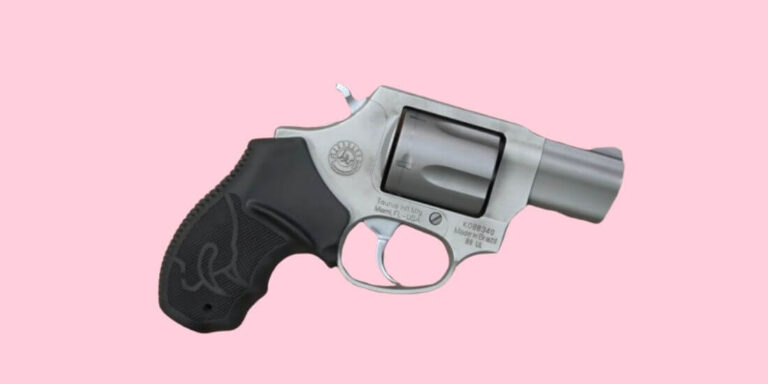 TAURUS 85 gun
