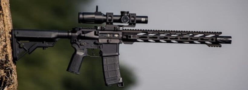 Best AR 10 Review in September 2023 - New Edition