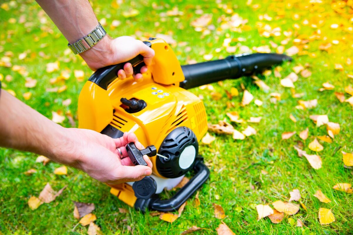 top-7-most-powerful-electric-leaf-blowers-2023-buying-guide