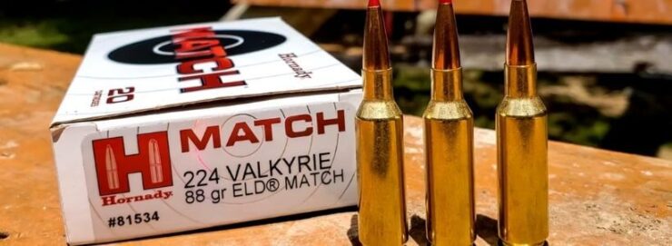 Exterior Features to Look for in a .224 Valkyrie Mag