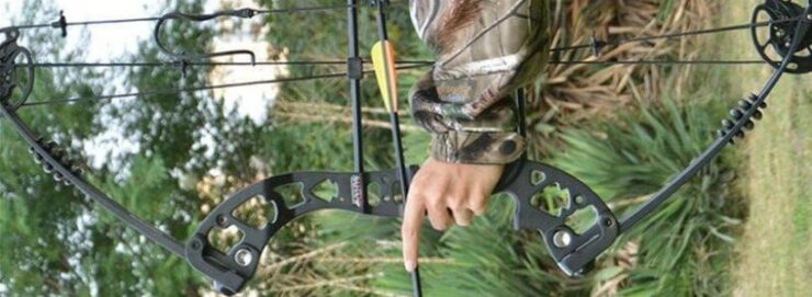 Things to Consider Before Buying Bows