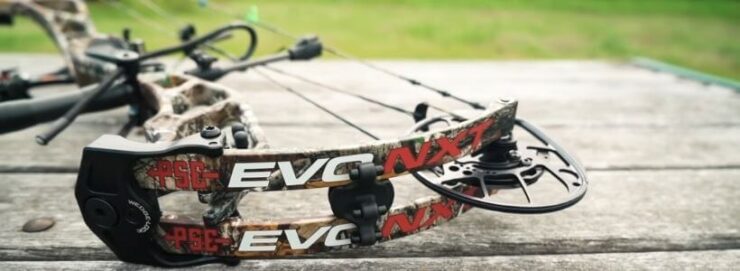 Which Bows Are Best for Hunting