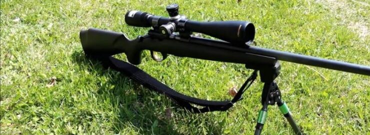 Best .17 HMR Rifles Review in January 2021 - New Edition