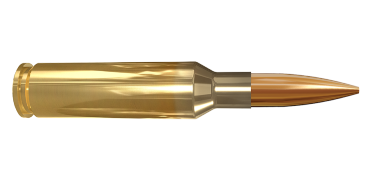 Top 7 Best Lapua Brass Review - 2023 Buyer's Guide