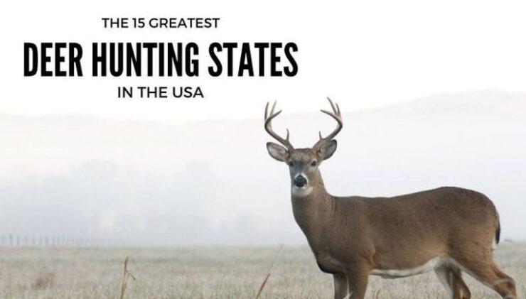 best states for deer hunting