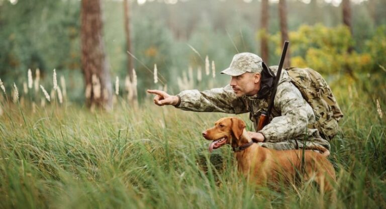 different types of hunting dogs