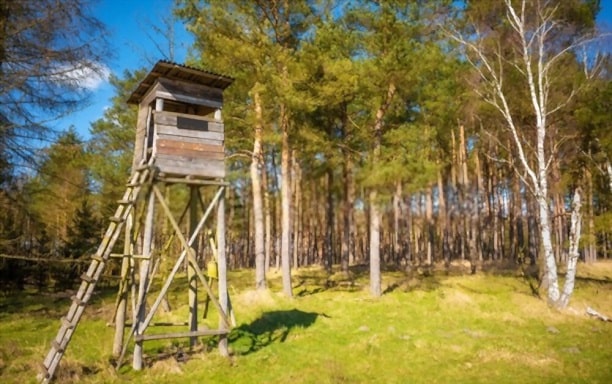 how to build a deer blind out of pallets