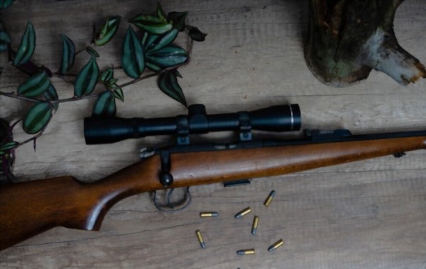 how to bed a rifle stock