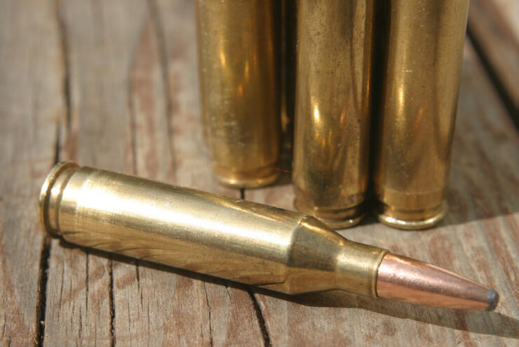 Hornady vs Winchester Brass