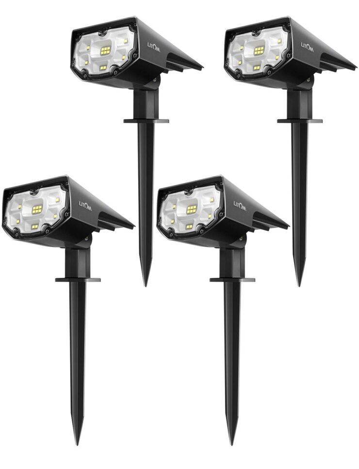 LITOM Spotlights