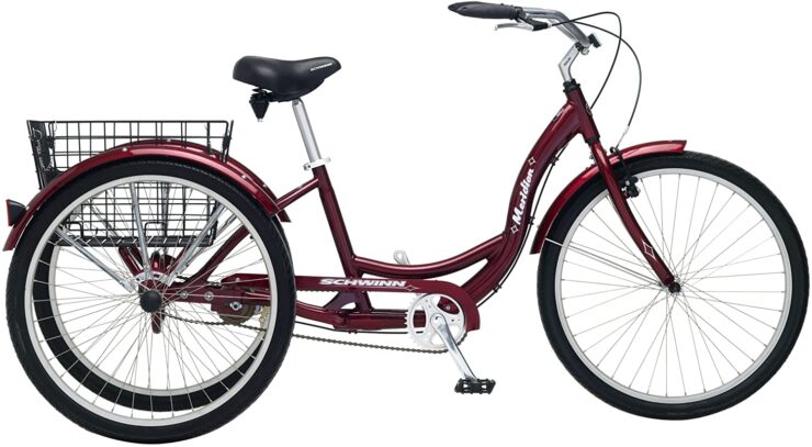 Schwinn Adult